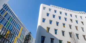 Didactique du FLE : 40 ans de cursus universitaires. Colloque ASDIFLE / DILTEC.