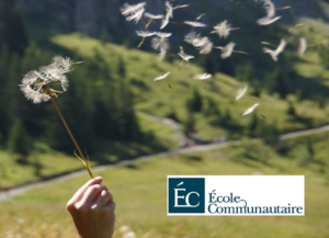 Les Rendez-vous 2013 de l’Ecole communautaire