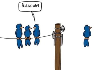 L&rsquo;actu du FLE en continu > c&rsquo;est sur Twitter