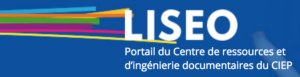 Actualité de l&rsquo;éducation et de l&rsquo;enseignement des langues : le portail documentaire LISEO :